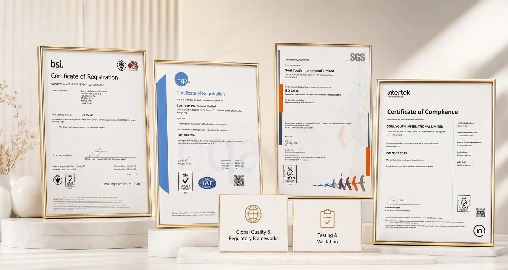 Soul Youth — quality management certifications (ISO 13485, ISO 9001)